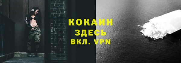 гашик Осташков