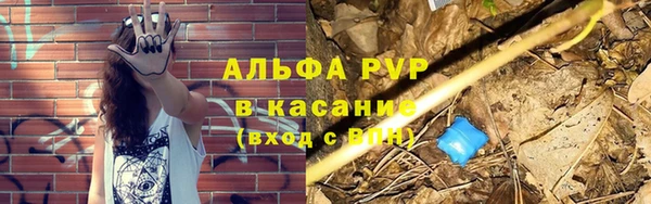 тгк Осинники