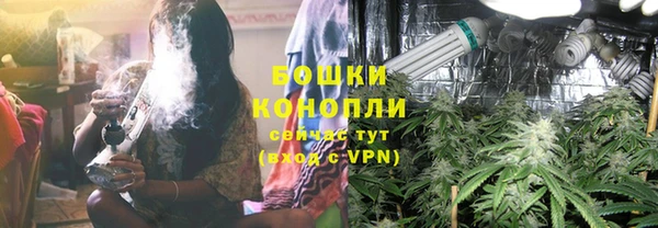 тгк Осинники