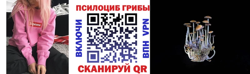 Галлюциногенные грибы мухоморы  как найти закладки  Кудымкар 