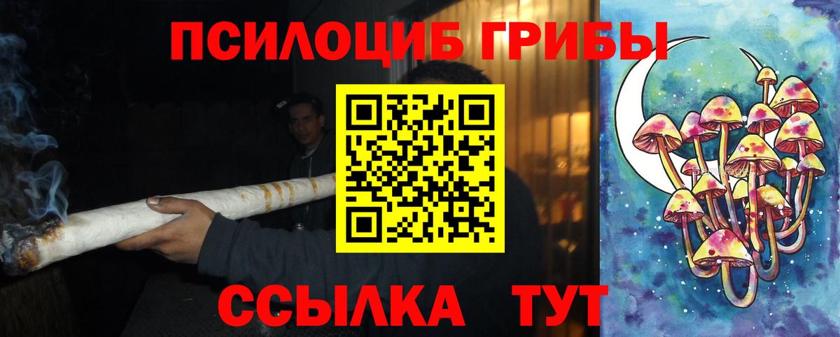 Кудымкар  Галлюциногенные грибы MAGIC MUSHROOMS  Вход с VPN 